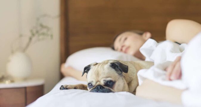 Medible review everything you need to know about marijuana and sleep