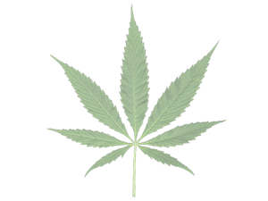 mediblereview.com logo