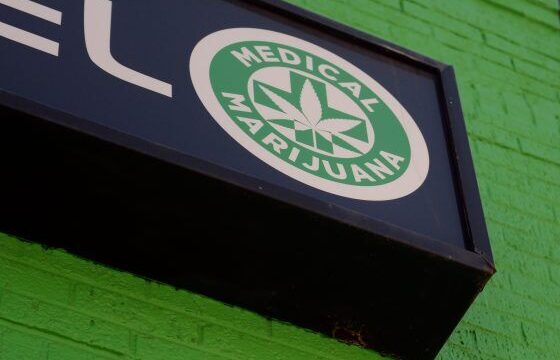 Medible review detroit medical marijuana on hold amid lawsuit
