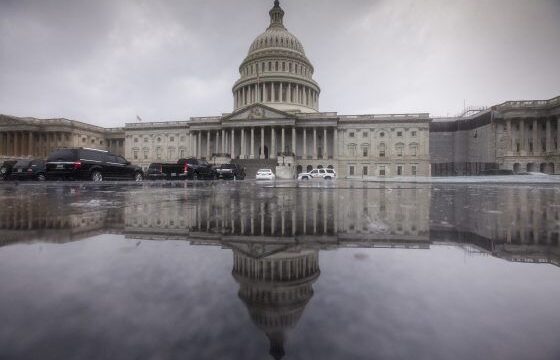 Medible review federal marijuana bills boosted by new supporters as congress gets back to work