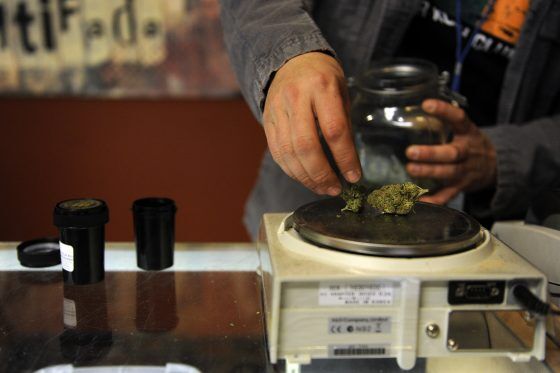 Medible review maine mmj patients store sue state over inspections of patients homes stores