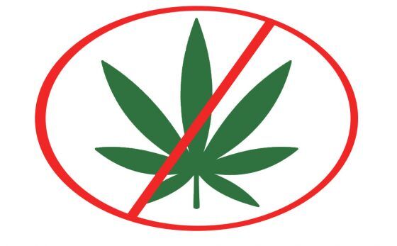 Medible review once weed friendly california county bans marijuana