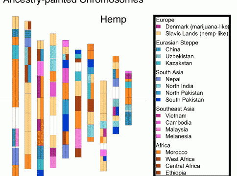 Medible review what the cannabis genome map means for future of the marijuana industry