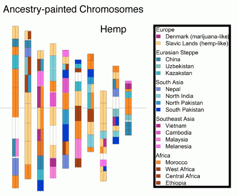 Medible review what the cannabis genome map means for future of the marijuana industry