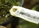 Medible review biotrackthc gets north dakotas medical marijuana tracking contract