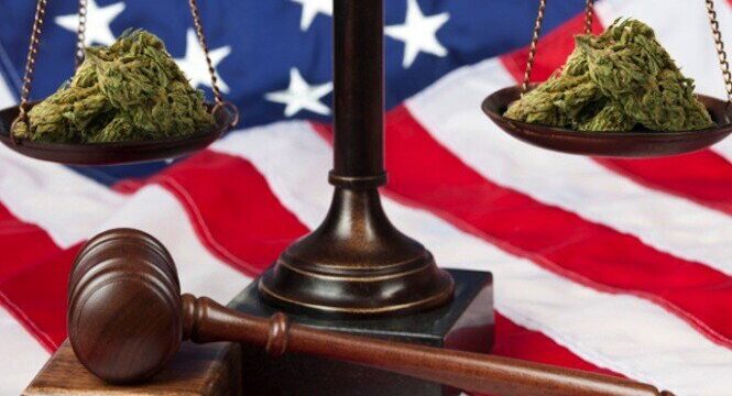 Medible review federal judge reserves decision after hearing arguments in washington v sessions