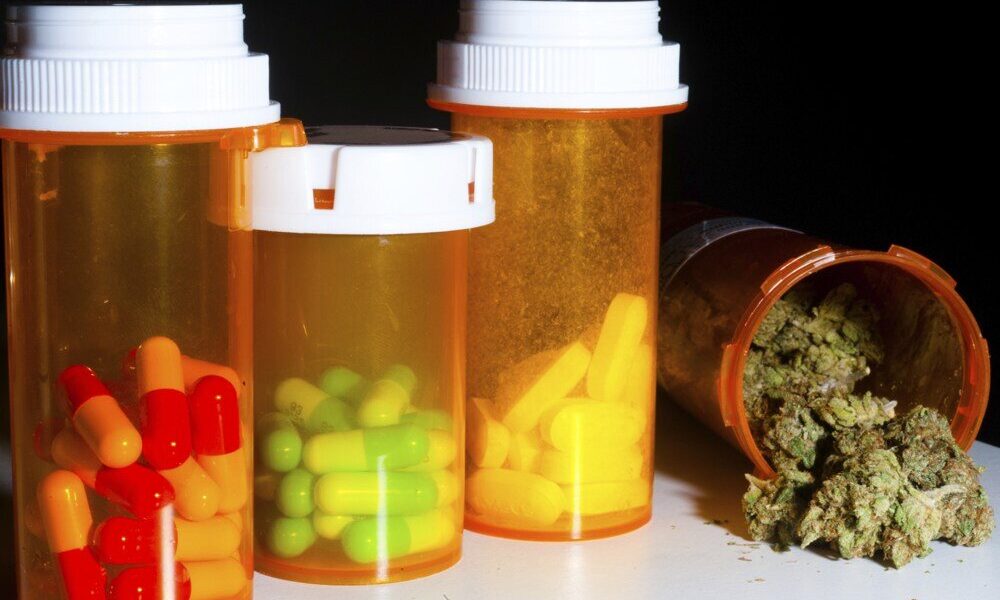 Medible review medical marijuana patients reduce prescription drug use study finds