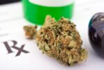 Medible review medical students arent being taught about medical marijuana