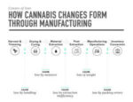 Medible review want to prevent cannabis theft diversion start collecting behavioral data