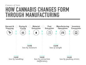 Medible review want to prevent cannabis theft diversion start collecting behavioral data