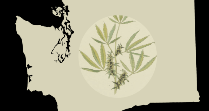Medible review washington marijuana state may allow cbd additives