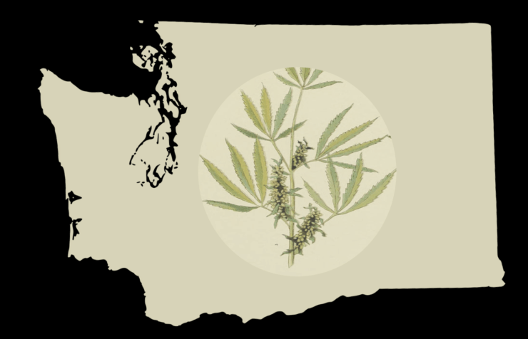 Medible review washington marijuana state may allow cbd additives