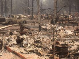 Medible review california cannabis grower gets 1 million insurance settlement for fire damage