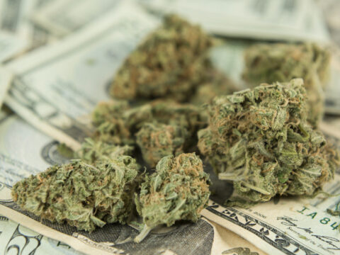 Medible review could regulation be the downfall of californias legal marijuana industry