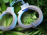 Medible review marijuana decriminalization leads to decreased arrests no increase in youth use