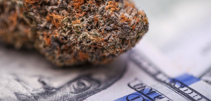 Medible review nj gov murphy looks to legal cannabis states to predict possible revenue