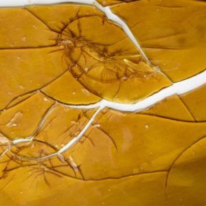 Medible review shatter batter and wax how cannabis extracts come to be