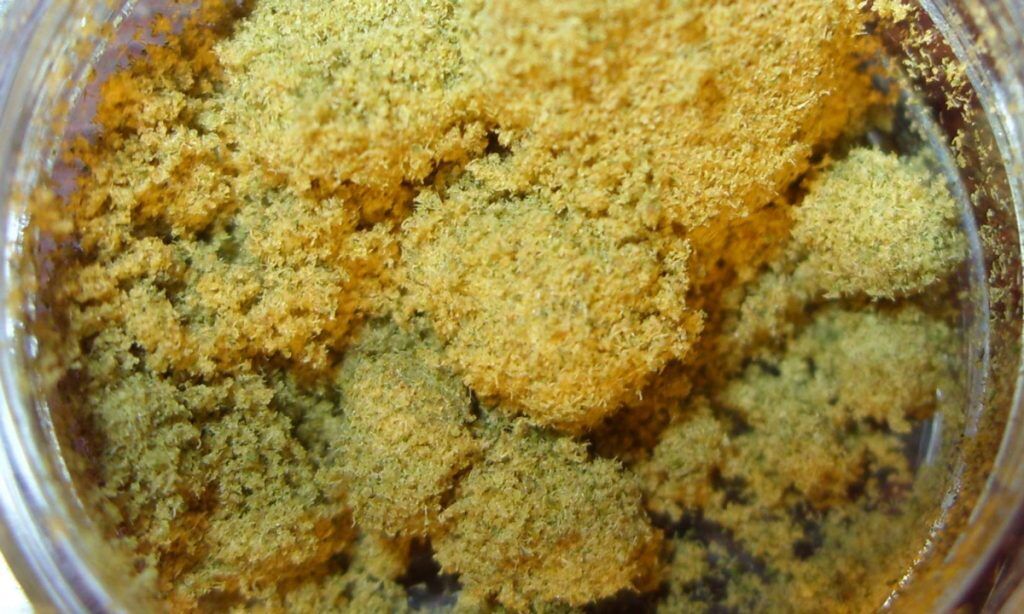 Medible review marijuana 101 how can kief be used medically