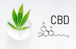Medible review CBD molecule