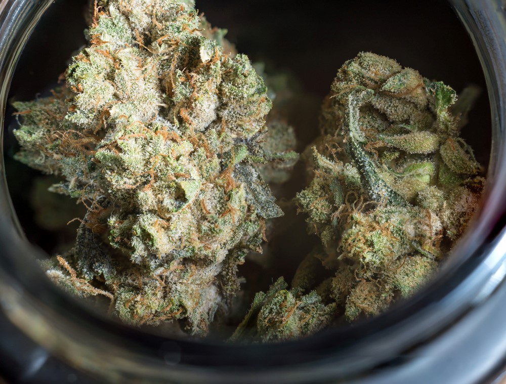 Best Practices for Preserving Your Pot