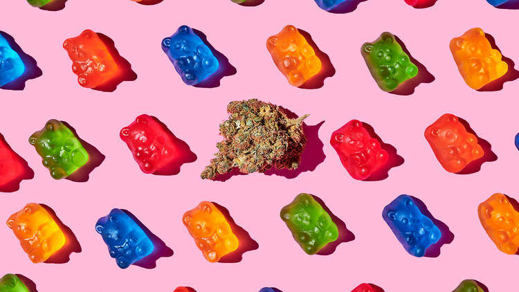 sugar free cannabis edibles