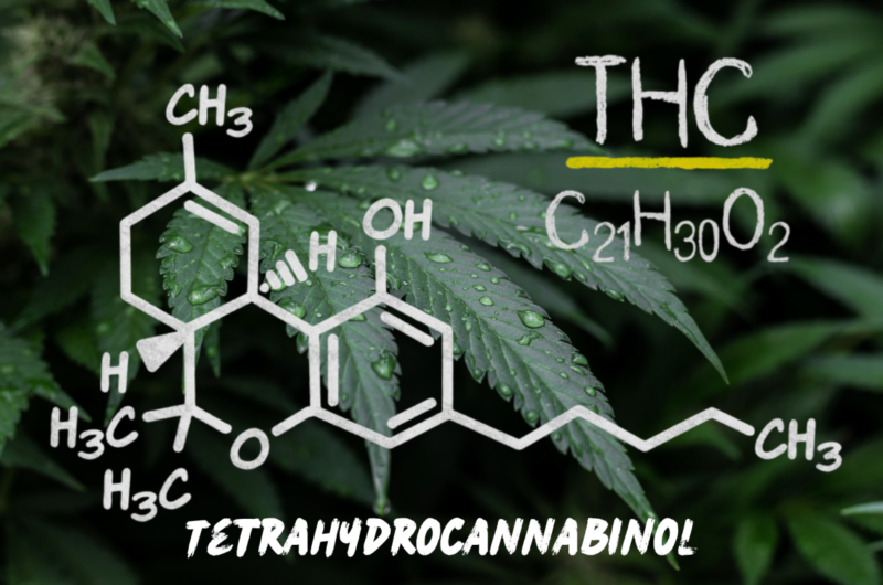 Medible review THC
