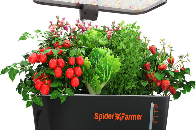 Spider Farmer Smart G12 Indoor Hydroponic Grow System