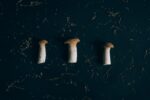 Psilocybin Mushrooms