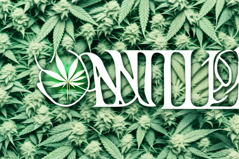 The History of Cannabis