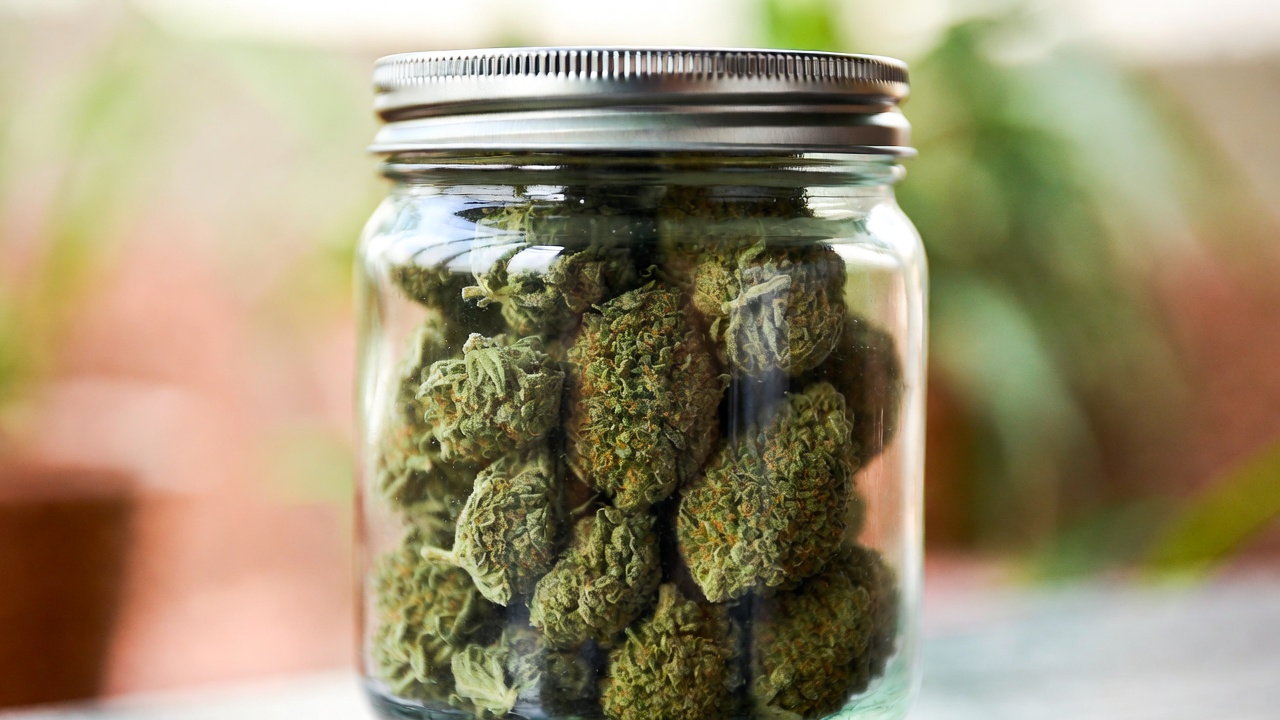 Top 5 Best Cannabis Strains for Relaxation and Pain Relief